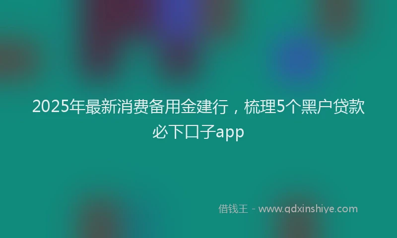 2025年最新消费备用金建行，梳理5个黑户贷款必下口子app