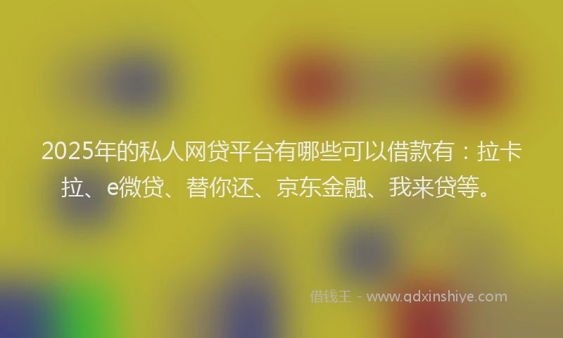 2025年的私人网贷平台有哪些可以借款有：拉卡拉、e微贷、替你还、京东金融、我来贷等。