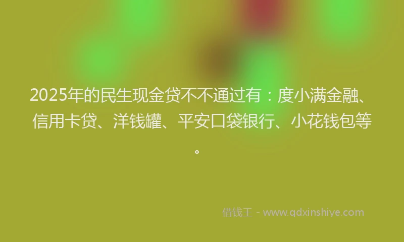2025年的民生现金贷不不通过有:度小满金融、信用卡贷、洋钱罐、平安口袋银行、小花钱包等。