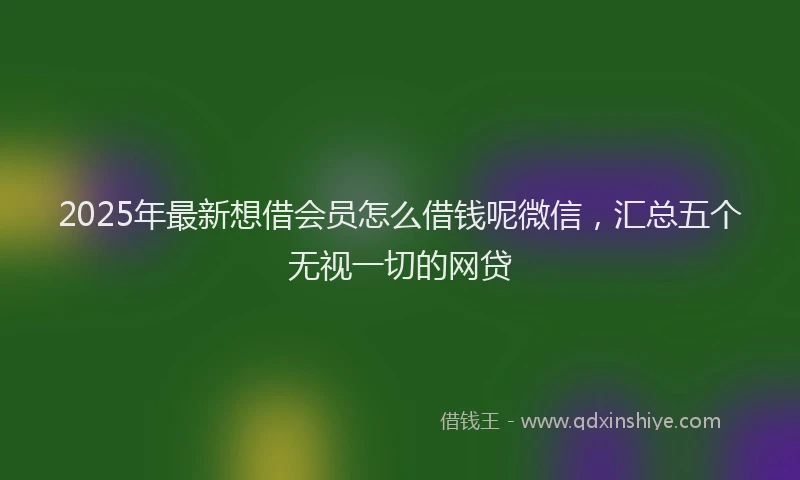 2025年最新想借会员怎么借钱呢微信，汇总五个无视一切的网贷