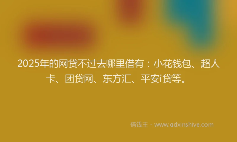 2025年的网贷不过去哪里借有：小花钱包、超人卡、团贷网、东方汇、平安i贷等。