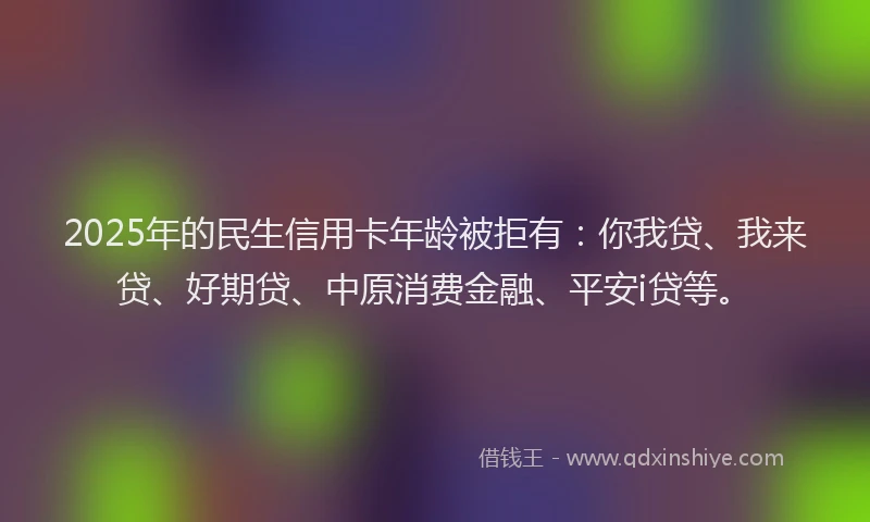 2025年的民生信用卡年龄被拒有：你我贷、我来贷、好期贷、中原消费金融、平安i贷等。