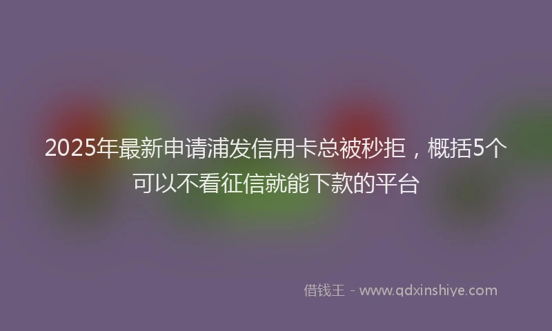 2025年最新申请浦发信用卡总被秒拒，概括5个可以不看征信就能下款的平台