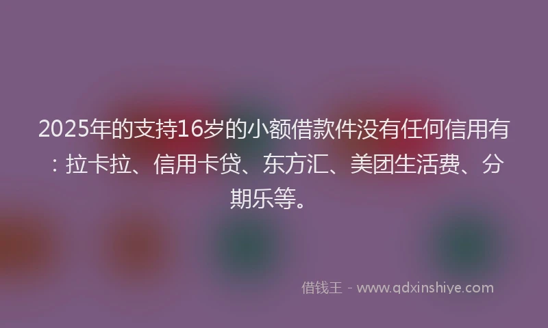 2025年的支持16岁的小额借款件没有任何信用有：拉卡拉、信用卡贷、东方汇、美团生活费、分期乐等。