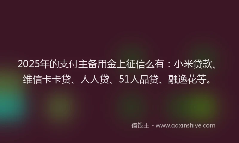 2025年的支付主备用金上征信么有：小米贷款、维信卡卡贷、人人贷、51人品贷、融逸花等。