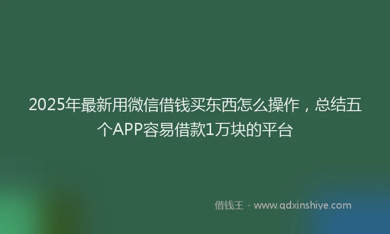 2025年最新用微信借钱买东西怎么操作，总结五个APP容易借款1万块的平台