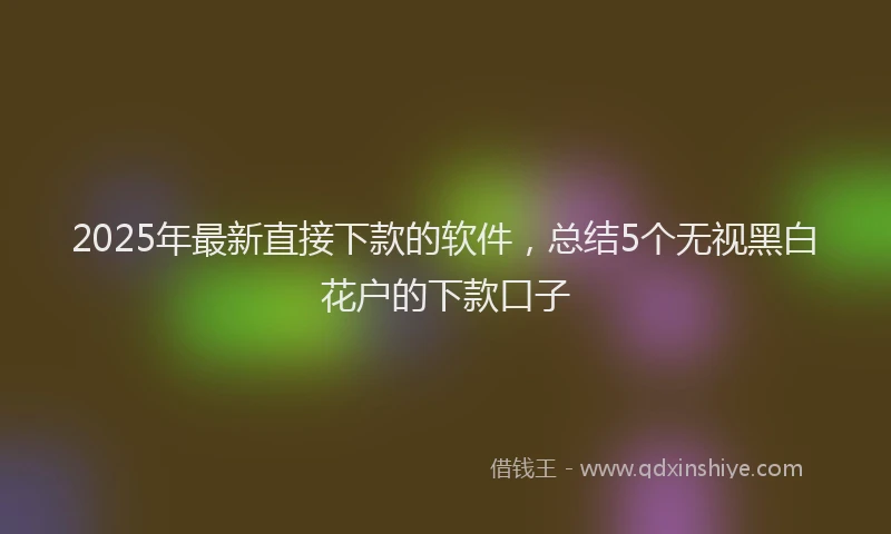 2025年最新直接下款的软件，总结5个无视黑白花户的下款口子