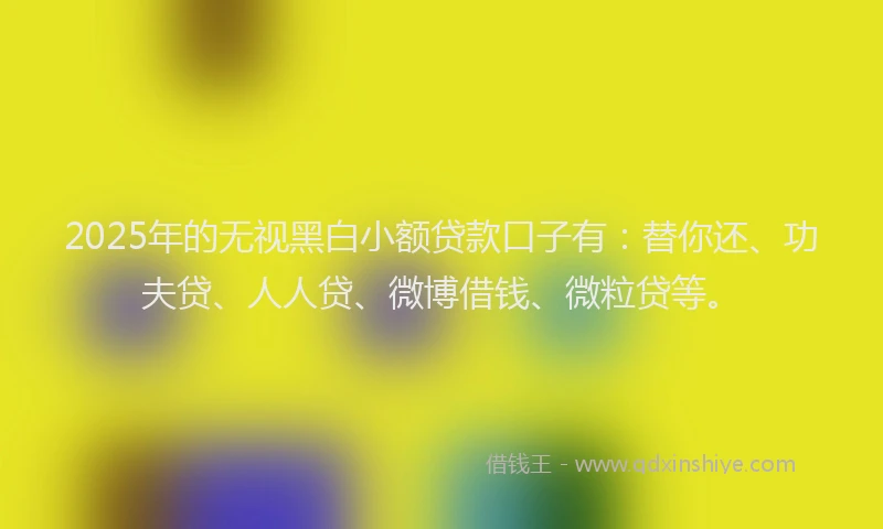 2025年的无视黑白小额贷款口子有：替你还、功夫贷、人人贷、微博借钱、微粒贷等。