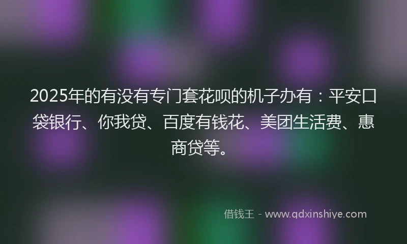 2025年的有没有专门套花呗的机子办有：平安口袋银行、你我贷、百度有钱花、美团生活费、惠商贷等。