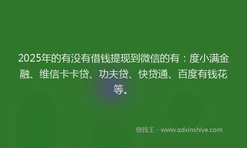 2025年的有没有借钱提现到微信的有：度小满金融、维信卡卡贷、功夫贷、快贷通、百度有钱花等。