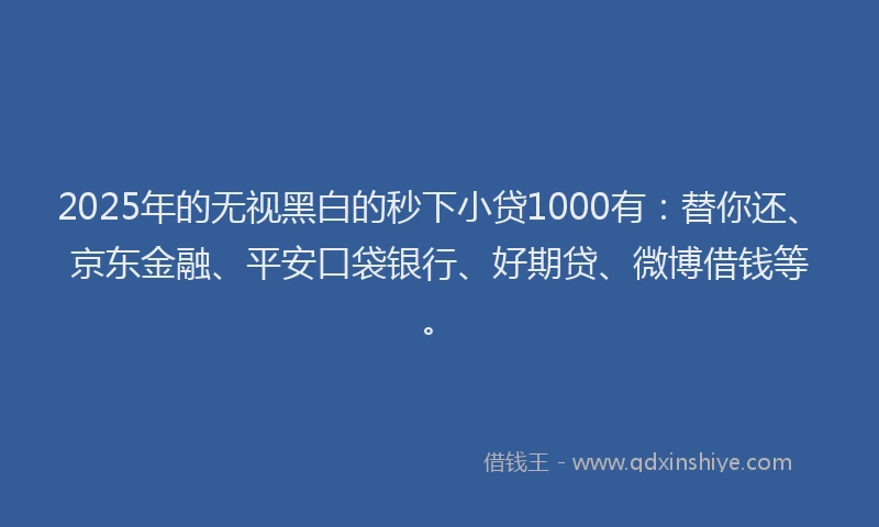 2025年的无视黑白的秒下小贷1000有：替你还、京东金融、平安口袋银行、好期贷、微博借钱等。