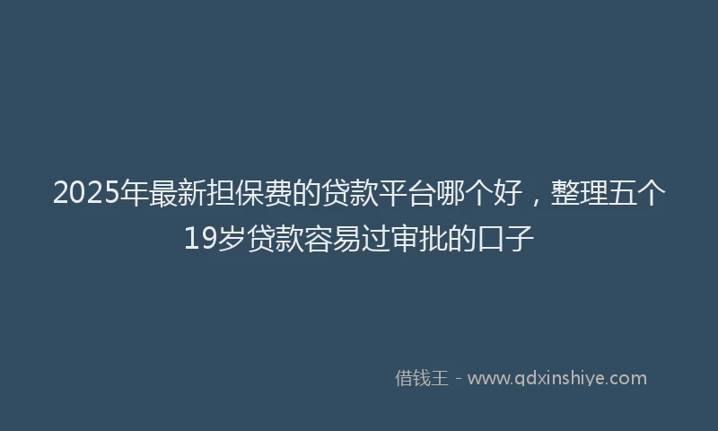 2025年最新担保费的贷款平台哪个好，整理五个19岁贷款容易过审批的口子