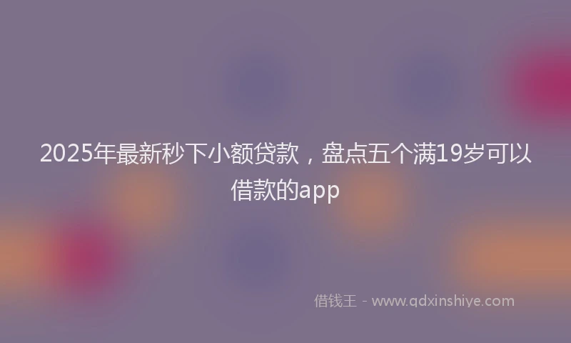 2025年最新秒下小额贷款，盘点五个满19岁可以借款的app