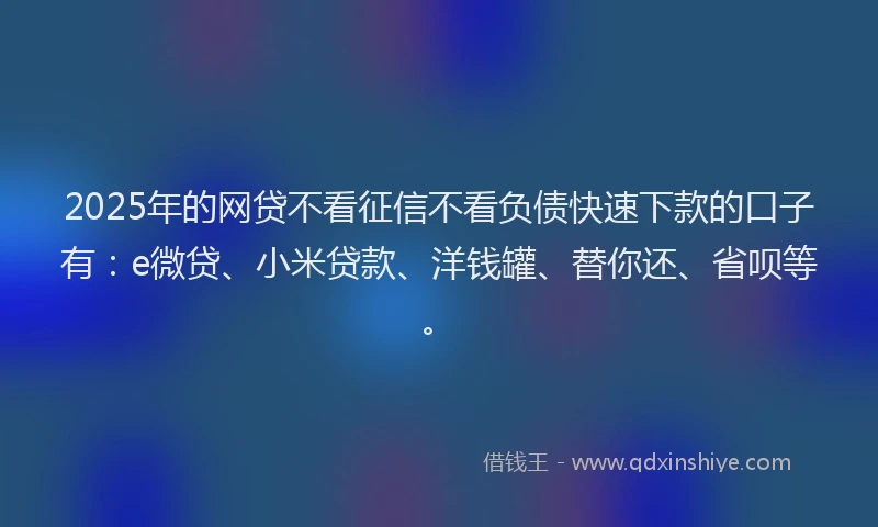 2025年的网贷不看征信不看负债快速下款的口子有：e微贷、小米贷款、洋钱罐、替你还、省呗等。