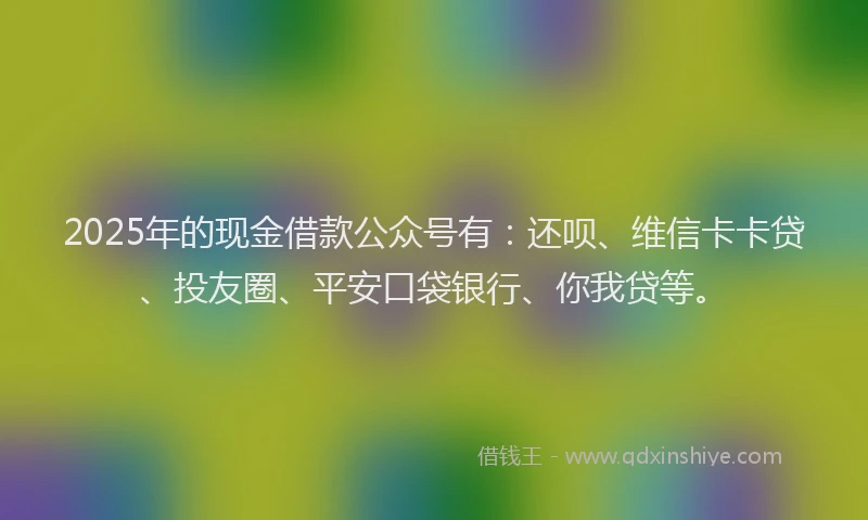 2025年的现金借款公众号有：还呗、维信卡卡贷、投友圈、平安口袋银行、你我贷等。