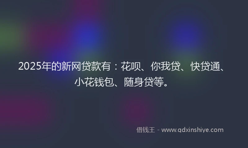 2025年的新网贷款有：花呗、你我贷、快贷通、小花钱包、随身贷等。