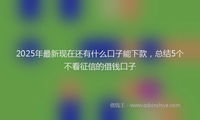 2025年最新现在还有什么口子能下款，总结5个不看征信的借钱口子