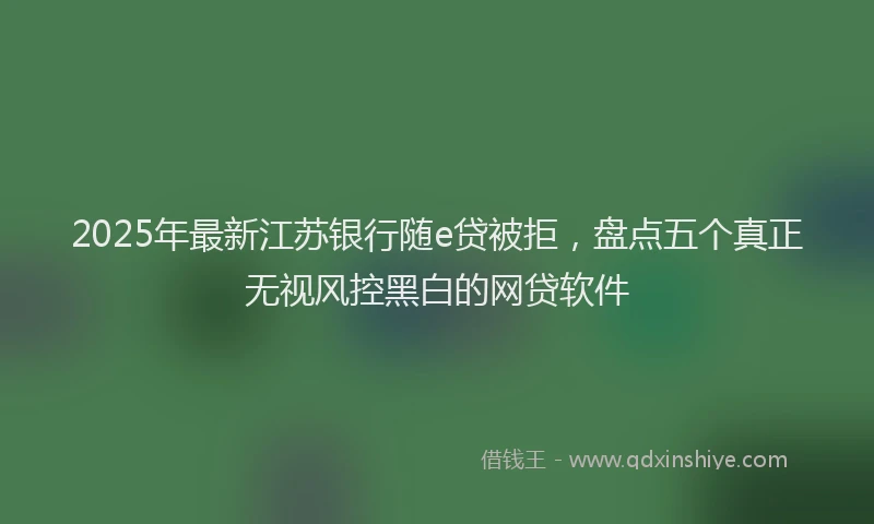 2025年最新江苏银行随e贷被拒，盘点五个真正无视风控黑白的网贷软件