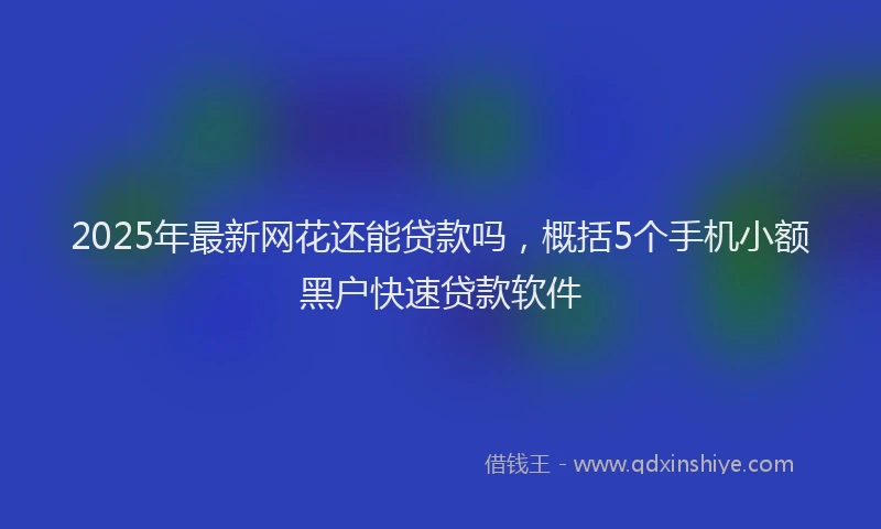 2025年最新网花还能贷款吗，概括5个手机小额黑户快速贷款软件