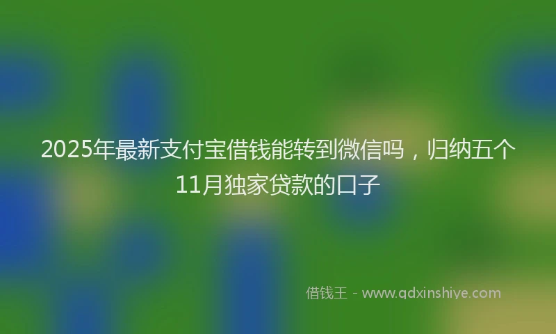 2025年最新支付宝借钱能转到微信吗，归纳五个11月独家贷款的口子