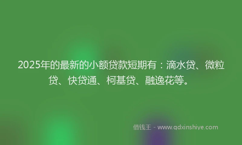 2025年的最新的小额贷款短期有：滴水贷、微粒贷、快贷通、柯基贷、融逸花等。