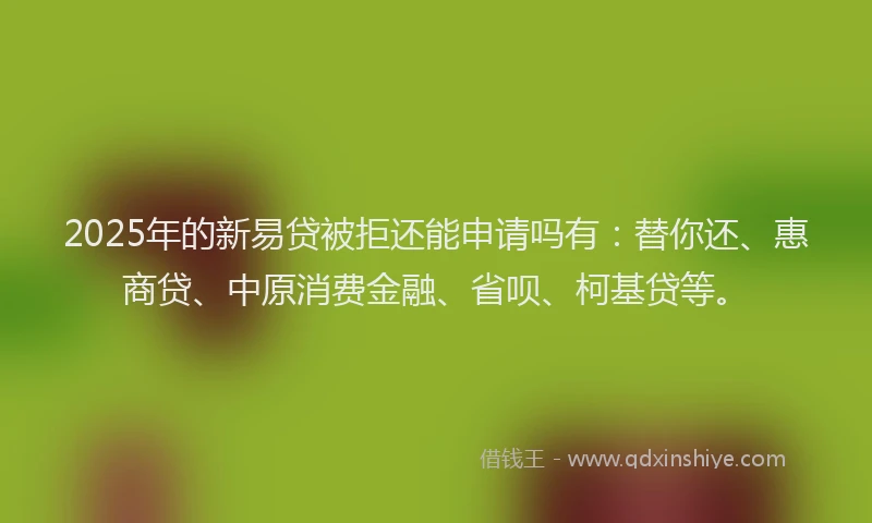 2025年的新易贷被拒还能申请吗有：替你还、惠商贷、中原消费金融、省呗、柯基贷等。
