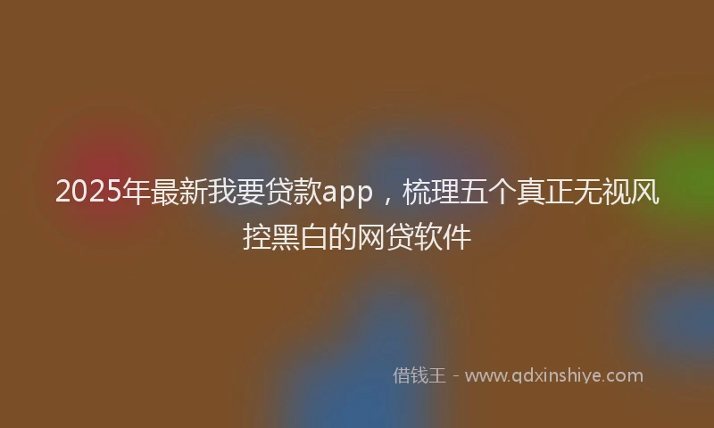 2025年最新我要贷款app，梳理五个真正无视风控黑白的网贷软件
