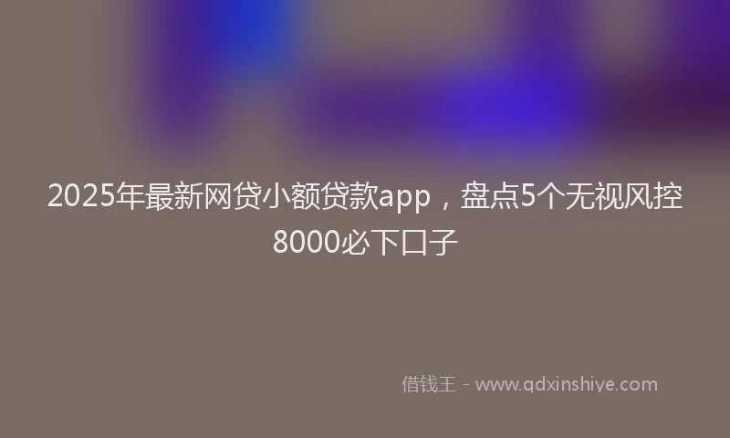 2025年最新网贷小额贷款app，盘点5个无视风控8000必下口子