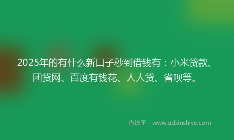 2025年的有什么新口子秒到借钱有：小米贷款、团贷网、百度有钱花、人人贷、省呗等。