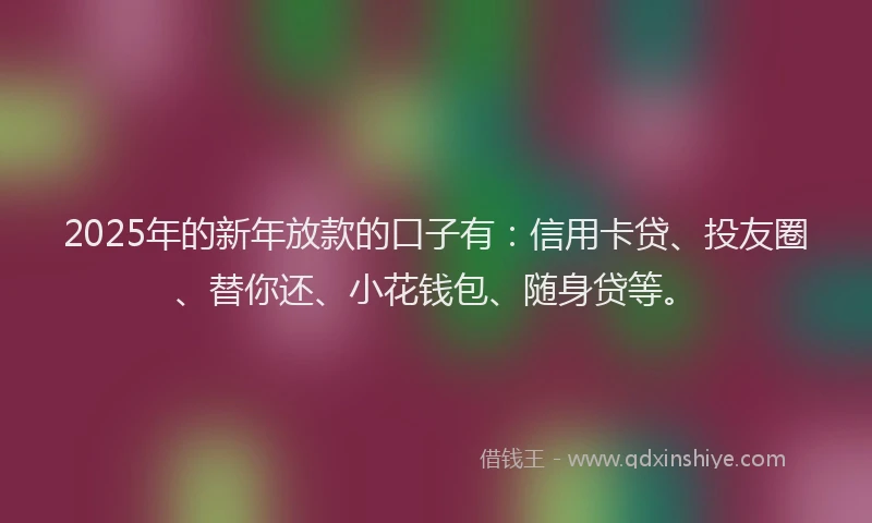 2025年的新年放款的口子有：信用卡贷、投友圈、替你还、小花钱包、随身贷等。
