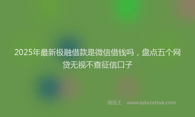 2025年最新极融借款是微信借钱吗，盘点五个网贷无视不查征信口子