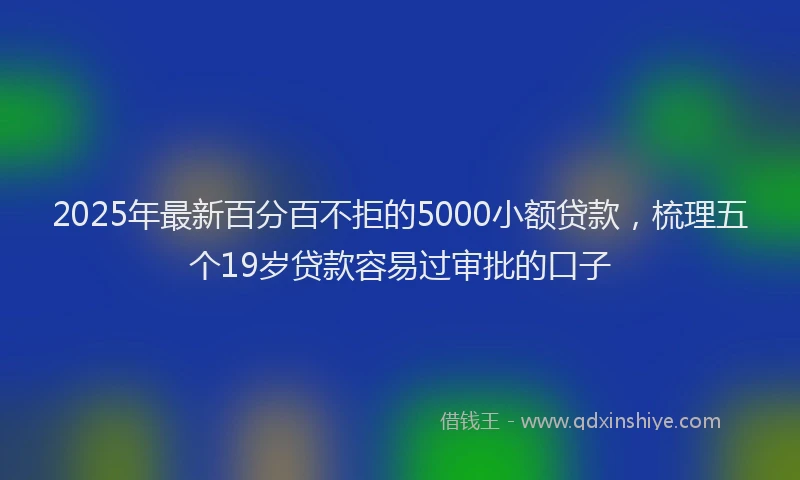 2025年最新百分百不拒的5000小额贷款，梳理五个19岁贷款容易过审批的口子