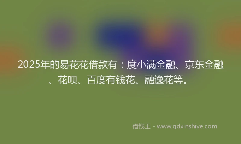 2025年的易花花借款有：度小满金融、京东金融、花呗、百度有钱花、融逸花等。