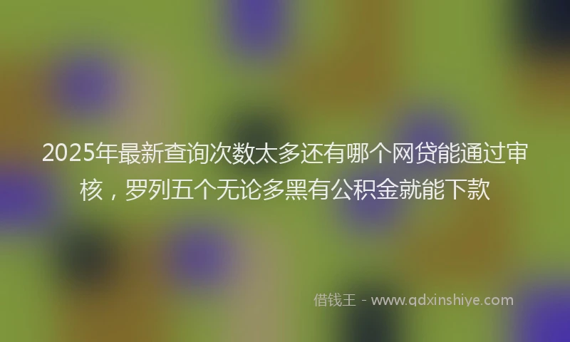 2025年最新查询次数太多还有哪个网贷能通过审核，罗列五个无论多黑有公积金就能下款