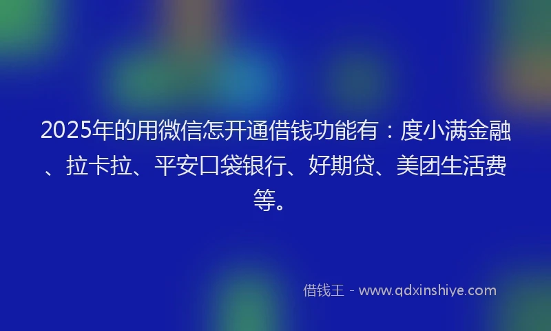 2025年的用微信怎开通借钱功能有：度小满金融、拉卡拉、平安口袋银行、好期贷、美团生活费等。