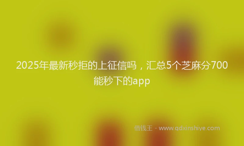2025年最新秒拒的上征信吗，汇总5个芝麻分700能秒下的app