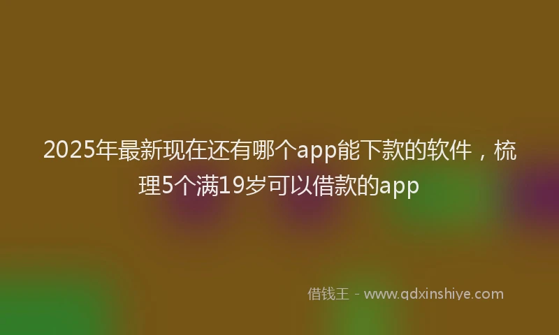 2025年最新现在还有哪个app能下款的软件，梳理5个满19岁可以借款的app