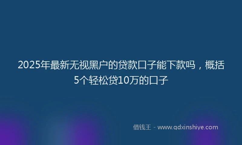 2025年最新无视黑户的贷款口子能下款吗，概括5个轻松贷10万的口子