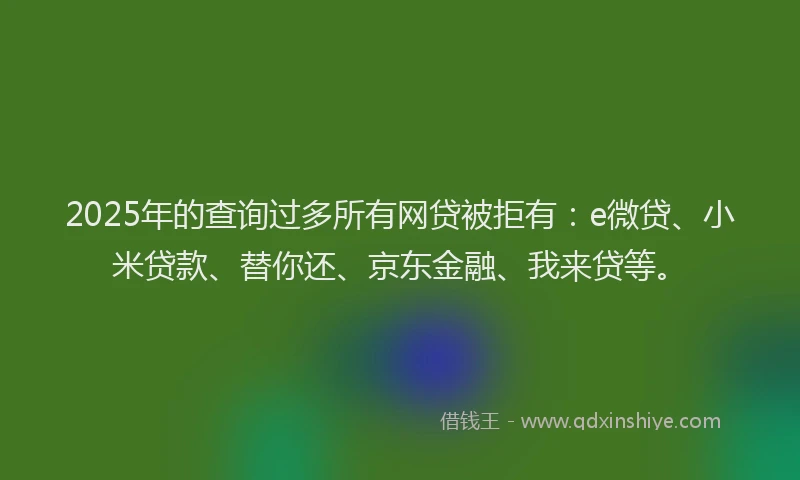 2025年的查询过多所有网贷被拒有：e微贷、小米贷款、替你还、京东金融、我来贷等。