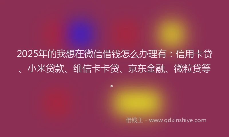 2025年的我想在微信借钱怎么办理有：信用卡贷、小米贷款、维信卡卡贷、京东金融、微粒贷等。