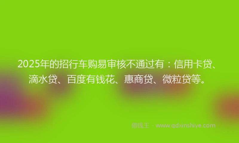2025年的招行车购易审核不通过有：信用卡贷、滴水贷、百度有钱花、惠商贷、微粒贷等。