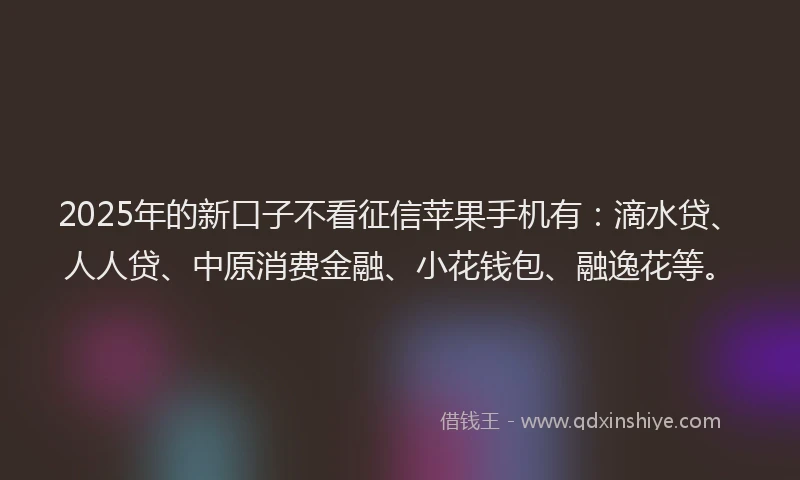 2025年的新口子不看征信苹果手机有：滴水贷、人人贷、中原消费金融、小花钱包、融逸花等。