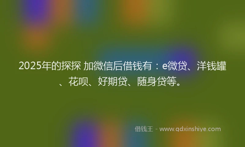2025年的探探 加微信后借钱有：e微贷、洋钱罐、花呗、好期贷、随身贷等。