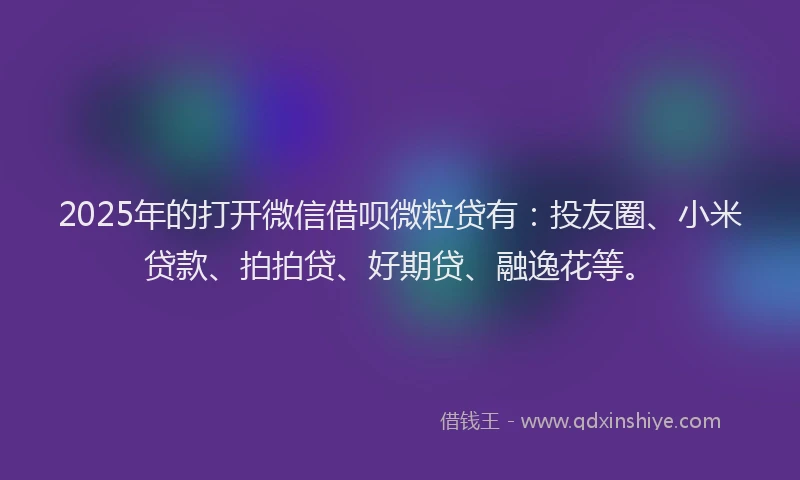 2025年的打开微信借呗微粒贷有：投友圈、小米贷款、拍拍贷、好期贷、融逸花等。