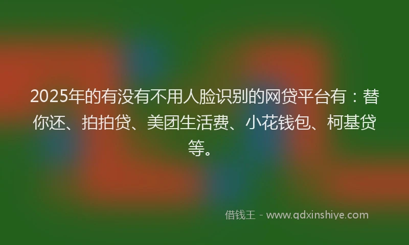 2025年的有没有不用人脸识别的网贷平台有：替你还、拍拍贷、美团生活费、小花钱包、柯基贷等。