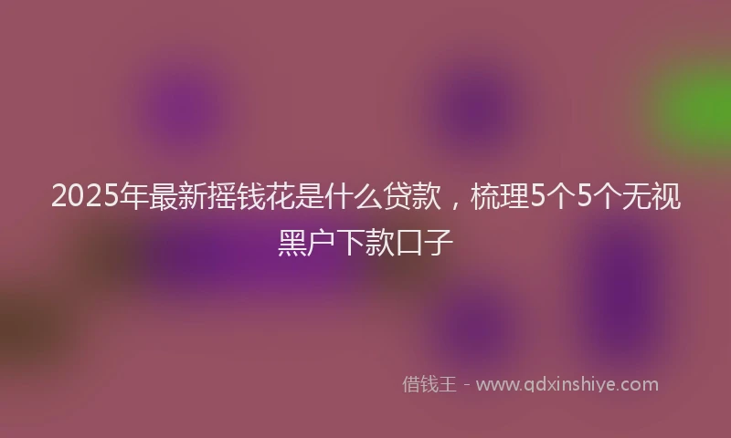 2025年最新摇钱花是什么贷款，梳理5个5个无视黑户下款口子