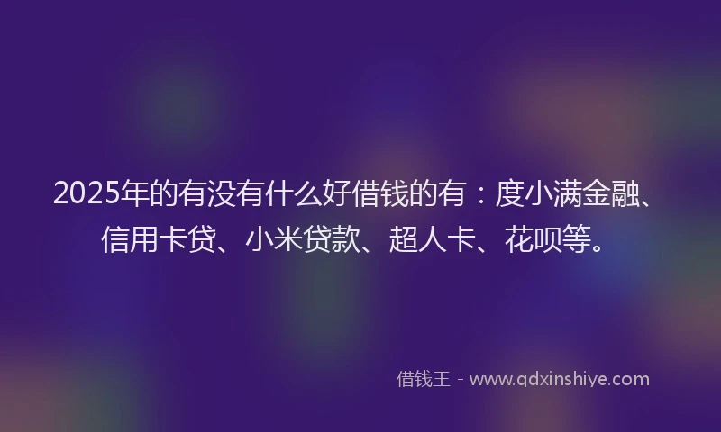 2025年的有没有什么好借钱的有：度小满金融、信用卡贷、小米贷款、超人卡、花呗等。
