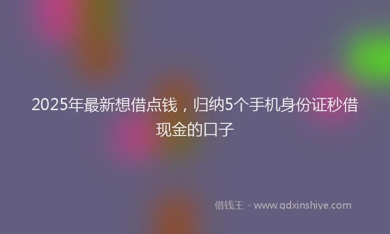 2025年最新想借点钱，归纳5个手机身份证秒借现金的口子