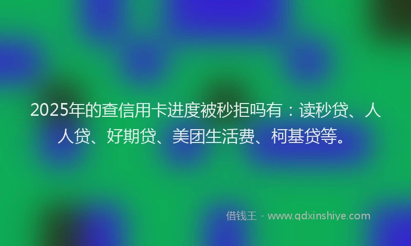 2025年的查信用卡进度被秒拒吗有：读秒贷、人人贷、好期贷、美团生活费、柯基贷等。