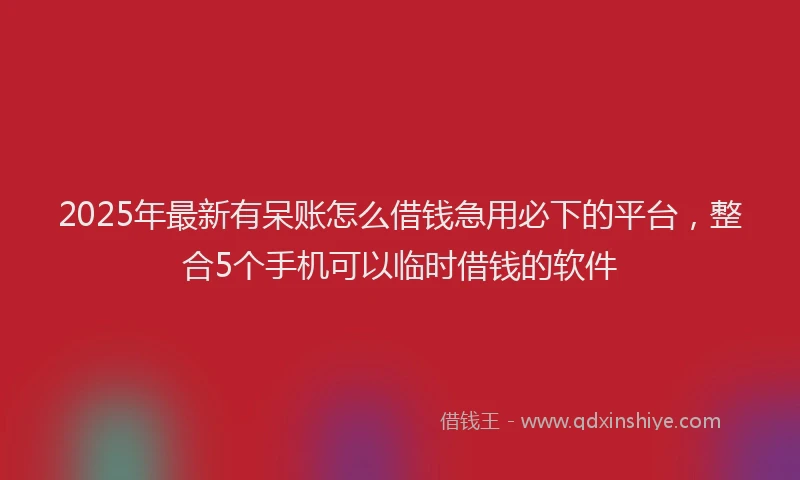 2025年最新有呆账怎么借钱急用必下的平台，整合5个手机可以临时借钱的软件